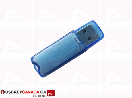 Custom blue usb key