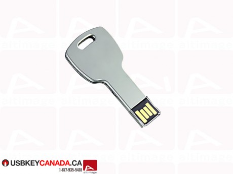 Custom metallic key Flash Drive