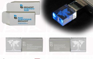 Bromont Scientific Park Custom Cristal usb flash drive